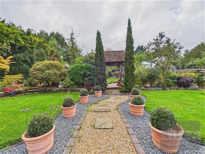 Picture 2